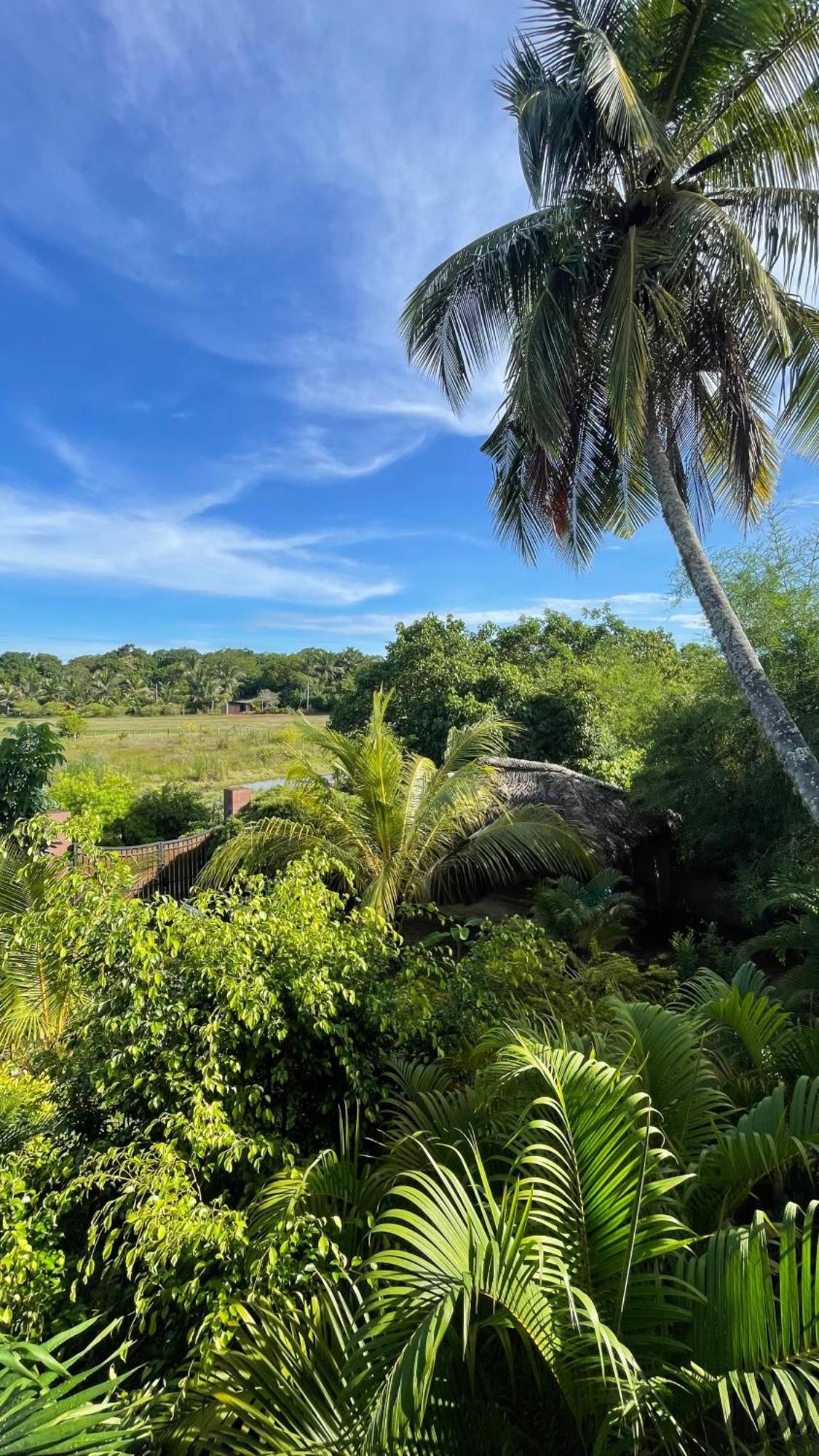 The Lookout Lodge Tangalle Eksteriør billede