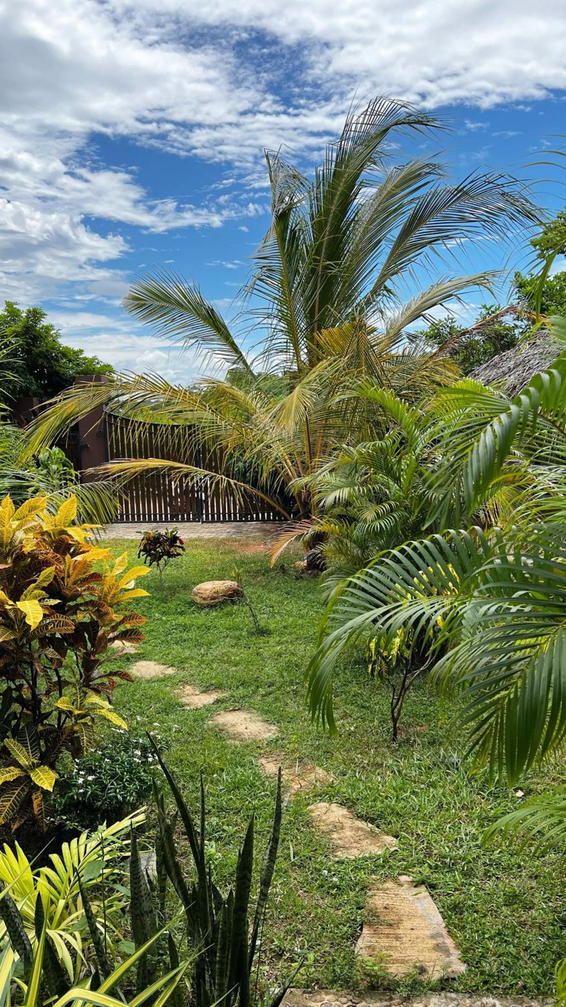 The Lookout Lodge Tangalle Eksteriør billede